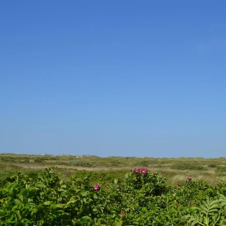 別荘 Marikka - 400m From The Sea In Western Jutland By Interhome *
